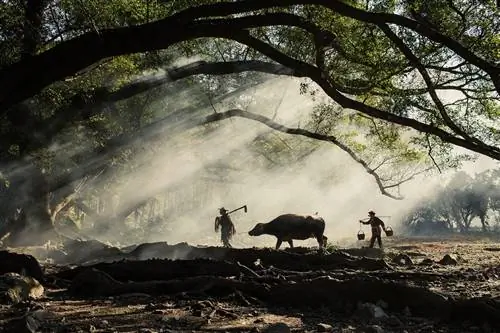 Сипу Сиань Китай