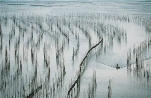 Сипу Сиань Китай