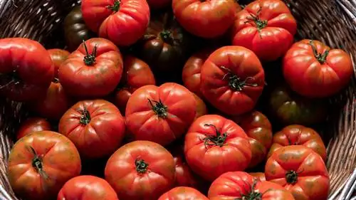 Как текущая ситуация повлияет на наши покупки продуктов питания (если мы не примем меры сейчас)?