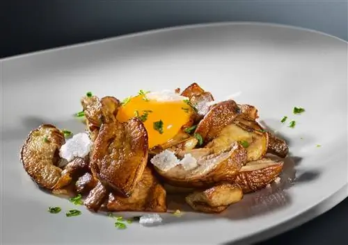 Грибная схватка.