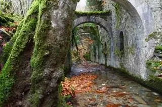 Глубоко в ущелье Тхангоа, пожираемом мхом и растительностью, находятся загадочные руины этого…