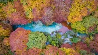 Маршруты по Наварре цвета осени