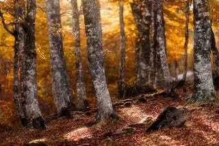 Говорят, что пейзаж Сьерра-де-Абоди в западной части Пиренеев Наварры является истинным сердцем…