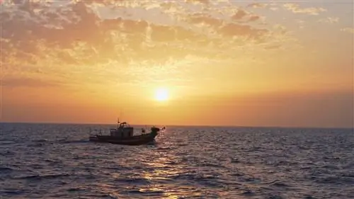 Производители лучших поваров.