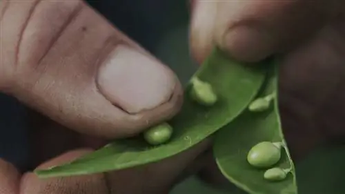 7 производителей, покоривших лучших поваров Испании