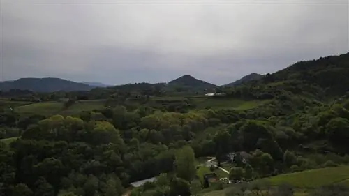 Производители лучших поваров Испании