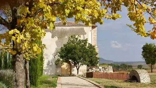 Отдых (и вино), чтобы открыть Руэда