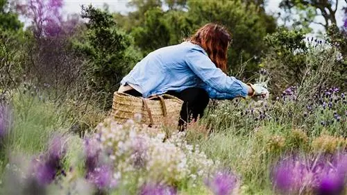Bellas de pueblo: испанская косметика, которая переносит нас в сельскую местность