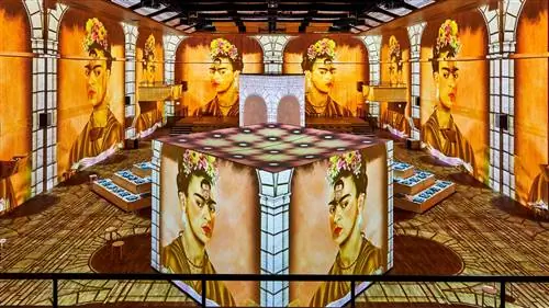 Viva Frida Kahlo, захватывающий опыт, который произвел революцию в Цюрихе
