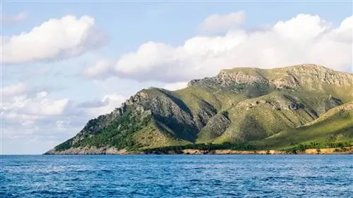 Арта Майорка.