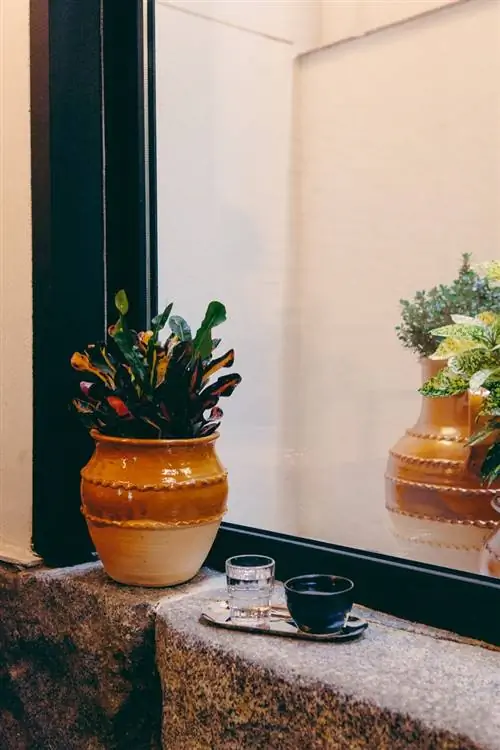 Кафе Миссия