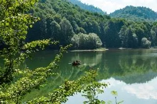 Как лес Биоградской Горы