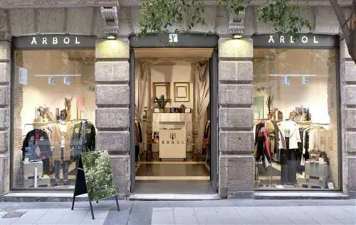 открытый дерево