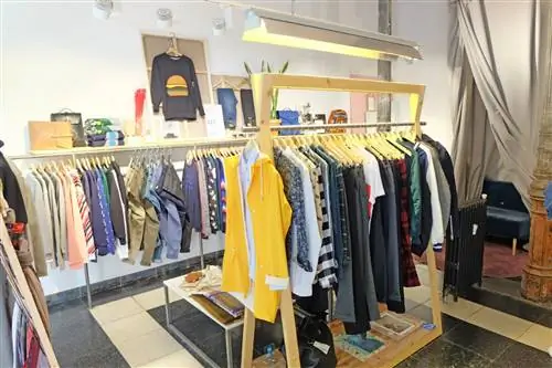 комнатное дерево