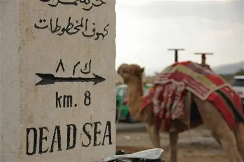Верблюд и указатель Мертвого моря