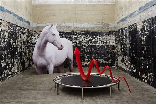 Работа Кати Новицковой из коллекции Boros.