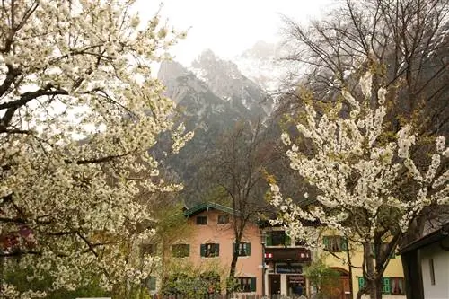 Миттенвальд считается одним из самых красивых городов Верхней Баварии.