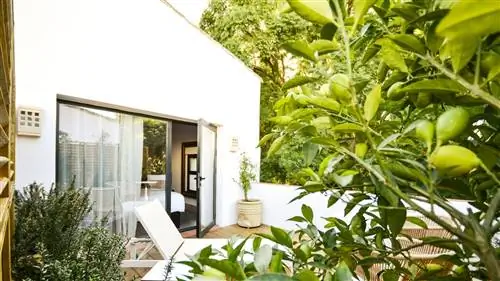 Наследие Алькасара: спите на маленьком кусочке севильской истории