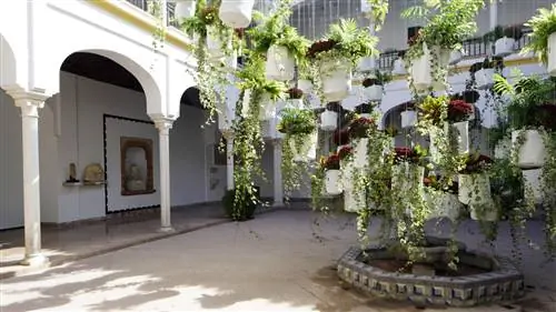 ФЛОРА ФЕСТИВАЛЬ
