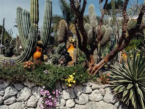 Прочида и Искья