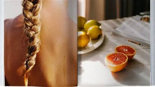 Kiss & Fly, первая книга о путешествиях с дополненной реальностью