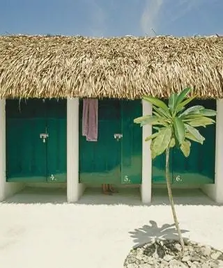 сахар Веракрус