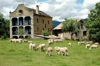 Арана Альбелла Хаус