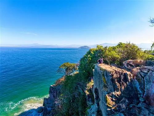 точка зрения быка