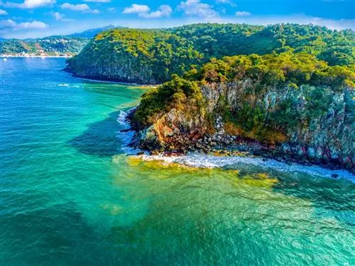 точка зрения быка