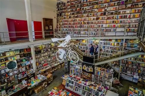 читать блуждать