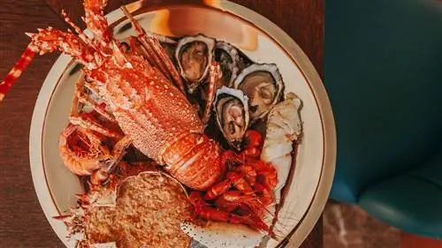 Cervejarias de Lisboa: руководство пользователя