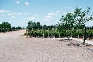 Вид на Зуккарди