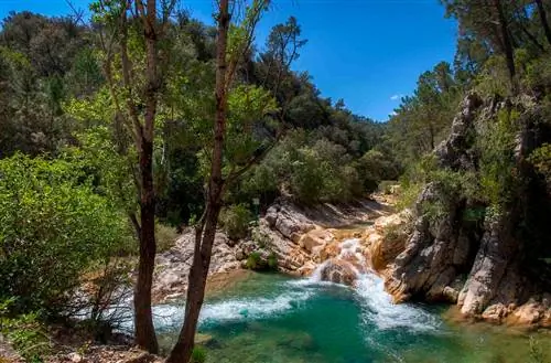 Путеводитель по Палестине с Малаком Маттаром