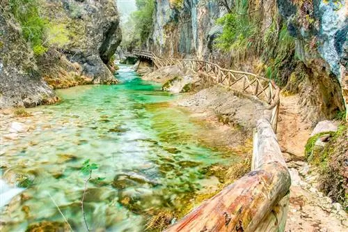 Газа на закате.