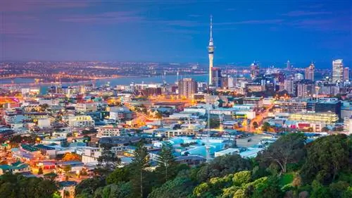 Путеводитель по Новой Зеландии с Лилли Тугуд