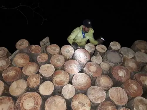 Последний рейд Министерства окружающей среды в Мексике