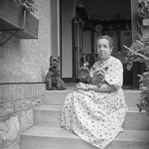 Мадам д'Ора