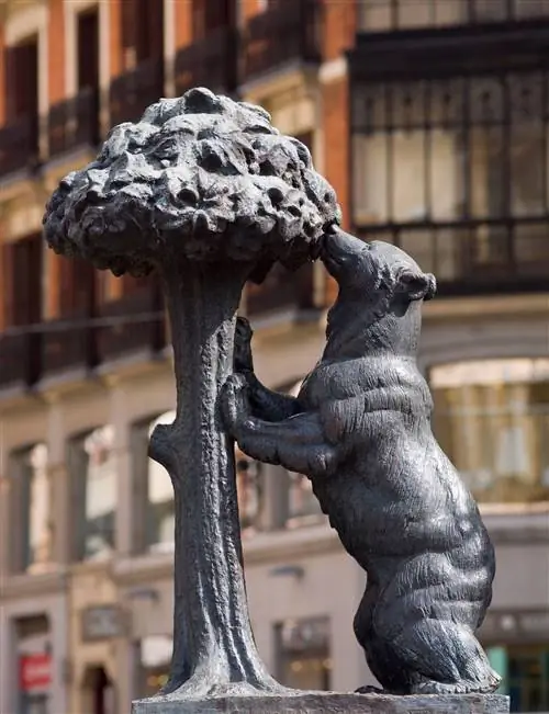 медведь и земляничное дерево