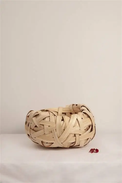 Корзина Родригеса и Рабанеды