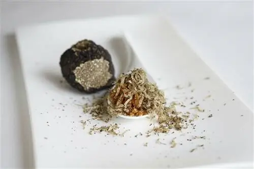 Маркос Гранда приготовил для нас много сюрпризов в новом ресторане Ayalga.