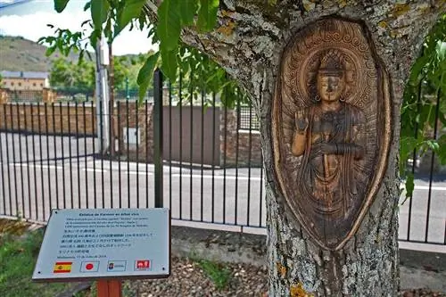 Маршрут резных деревьев El Bierzo