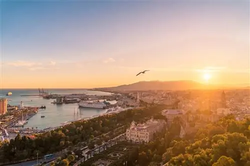 Виды Малаги на закате с Хибральфаро с морем слева и закатом за горами.