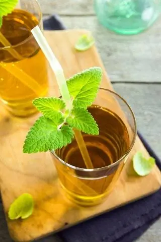 Комбуча в Argo Tea