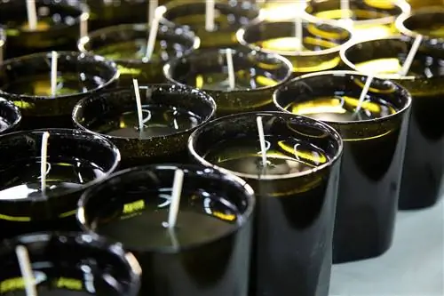 Ароматическая свеча Trudon поставляется в хрустальном стакане, содержащем абсолют пчелиного воска.