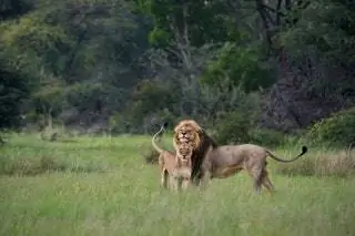 Мы уже сказали это в начале, трудно выбрать среди такого количества чудес. NUBA с ее бесконечным каталогом опыта…