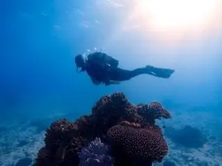 Чтобы завершить райский опыт, NUBA предлагает нам остановиться на роскошном острове BEYOND Benguerra, расположенном в…
