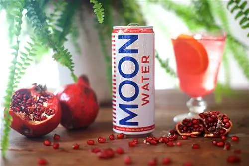 Минеральная вода Moon Water со вкусом апельсина и граната Минеральная вода Moon Water со вкусом апельсина и граната