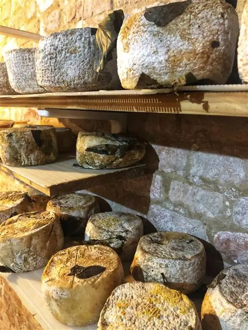 Сыры пекорино в пещере Le Affinità Gustative Mondavio.
