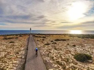 Дикая природа Форментеры