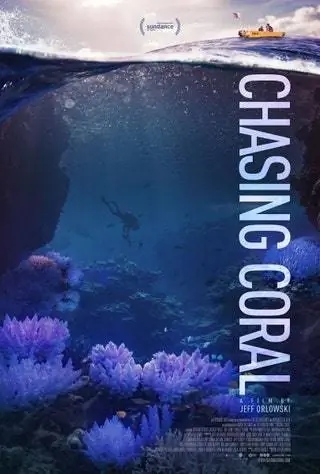 Большой Барьерный риф переживает самое сильное обесцвечивание за всю историю, а остальная часть кораллов мертва или…